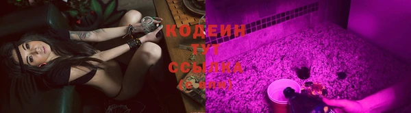 ПСИЛОЦИБИНОВЫЕ ГРИБЫ Арсеньев