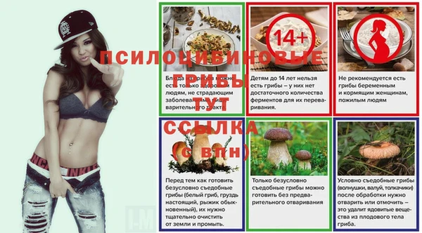 ПСИЛОЦИБИНОВЫЕ ГРИБЫ Арсеньев