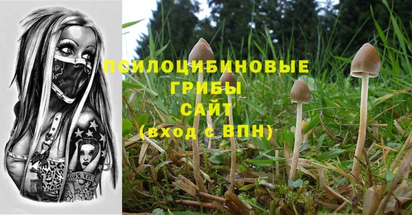 ПСИЛОЦИБИНОВЫЕ ГРИБЫ Арсеньев